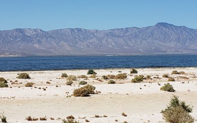 Spring Break 2021 – Part 3: Salton Sea